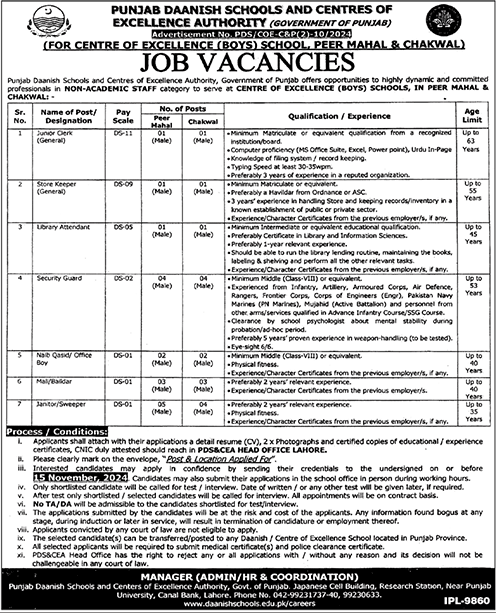 punjab danish school jobs 2024 1